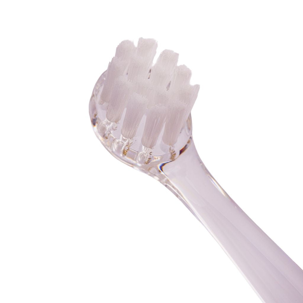 Babyton Têtes de rechange pour brosse à dents sonique - 2 pièces