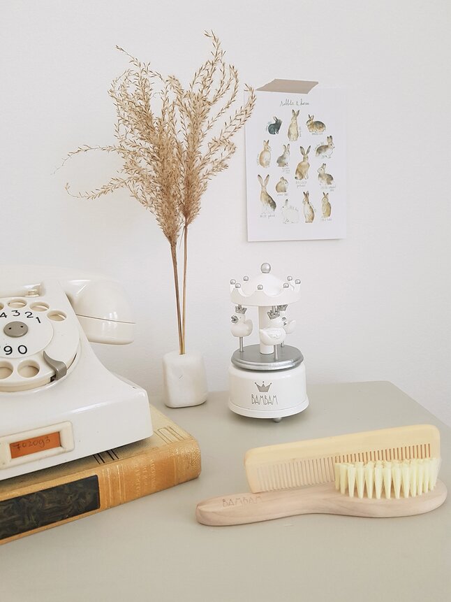 Bam Bam Kam en borstel