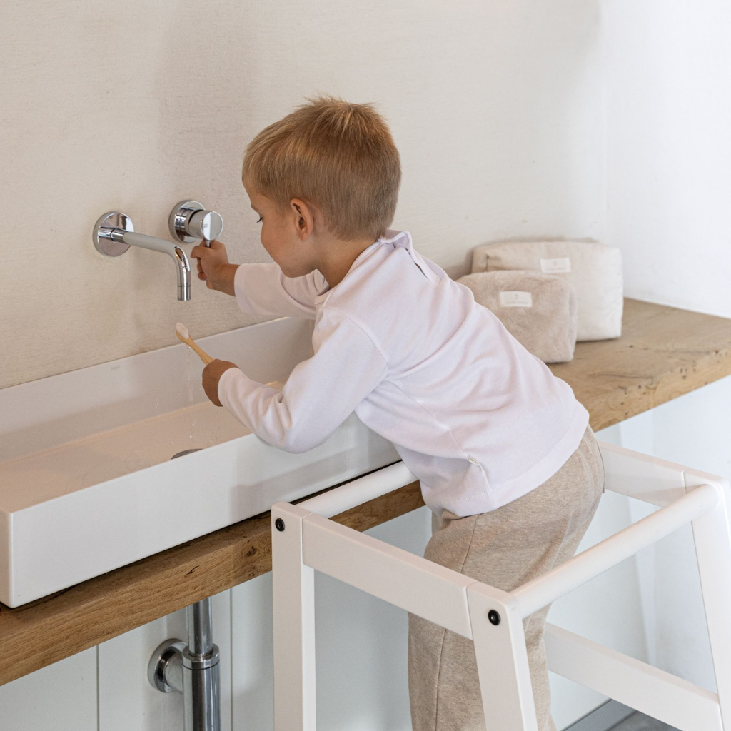 JAXX Tour d'apprentissage Beech