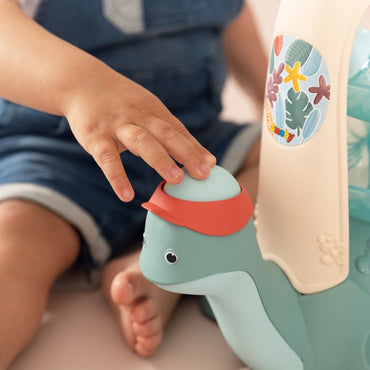 Smoby Schildpad Ballenbaan met 2 Ballen