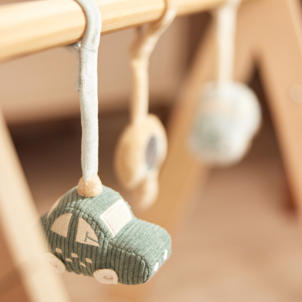 Babygym Speeltjes On The Go