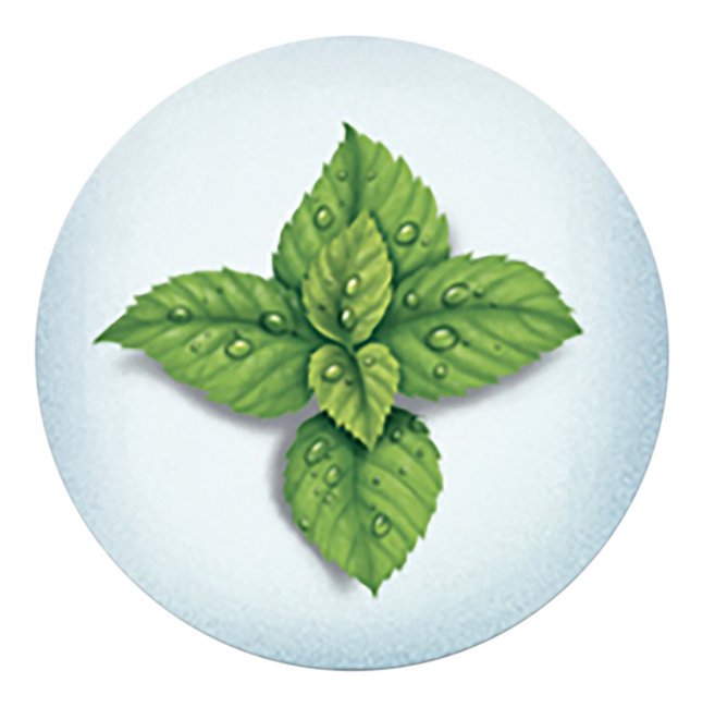 Vicks Tablette de parfum VapoPads Mentol - 7 pièces