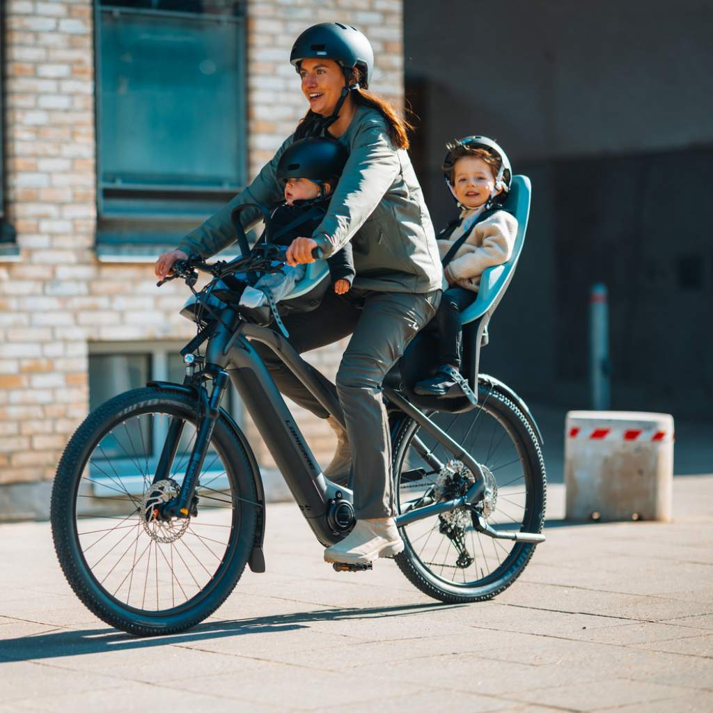 Thule Fietstoel Yepp 2 Maxi Frame mount Alaska