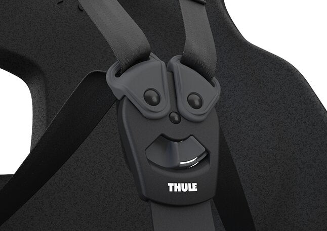 Thule Siège-vélo Yepp Nexxt 2 Maxi Rack Mount Monument Grey