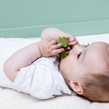 Trixie Baby Koelbijtring Mr. Dino groen