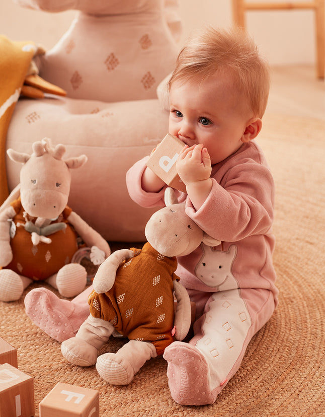 Noukie's Pyjama Tiga, Stegi & Ops rose