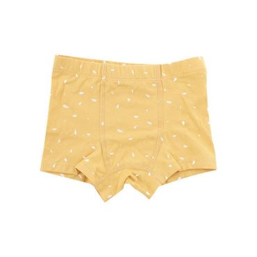 Dreambee Boxer Essentials bleu/vert/jaune - 5 pièces