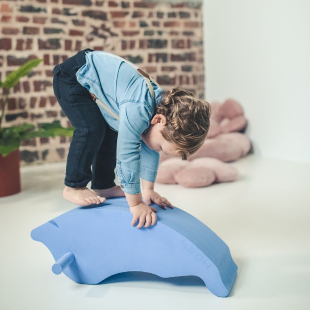 MOES Play Dolfijn