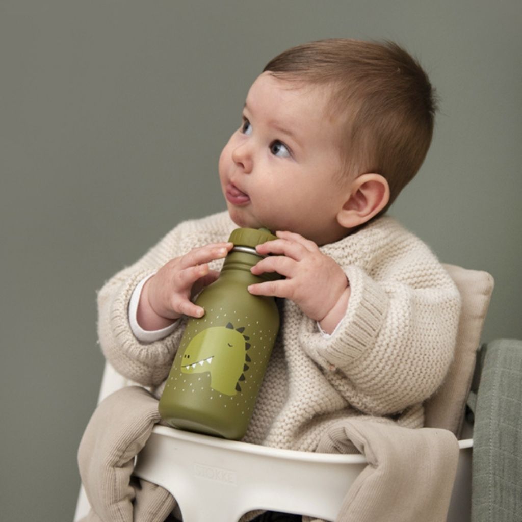 Trixie Gourde Animals Mr Dino vert 350 ml