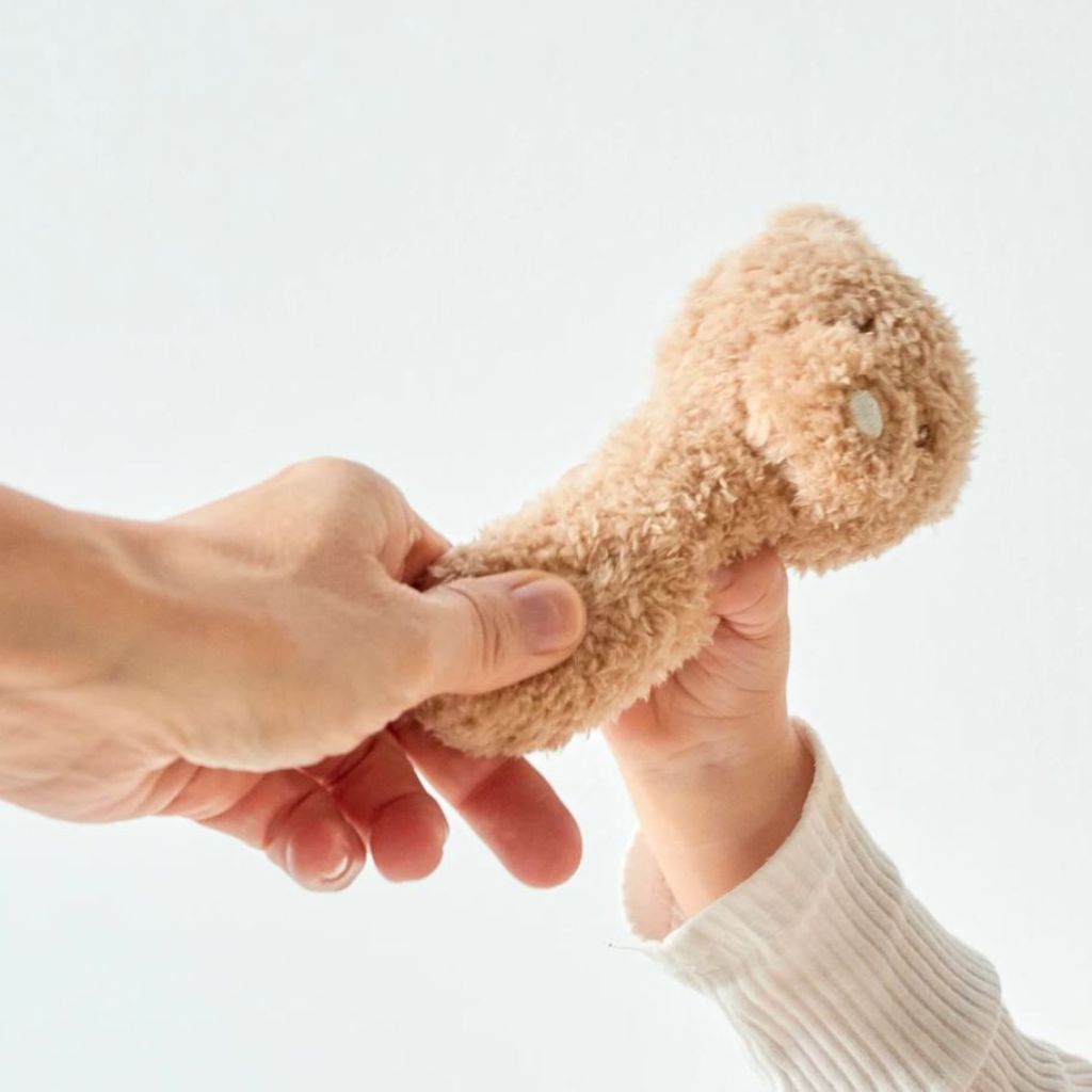 Nattou Hochet Ours TEDDY