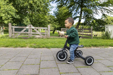 Topmark Driewieler 4-in-1 Kaya Anthracite