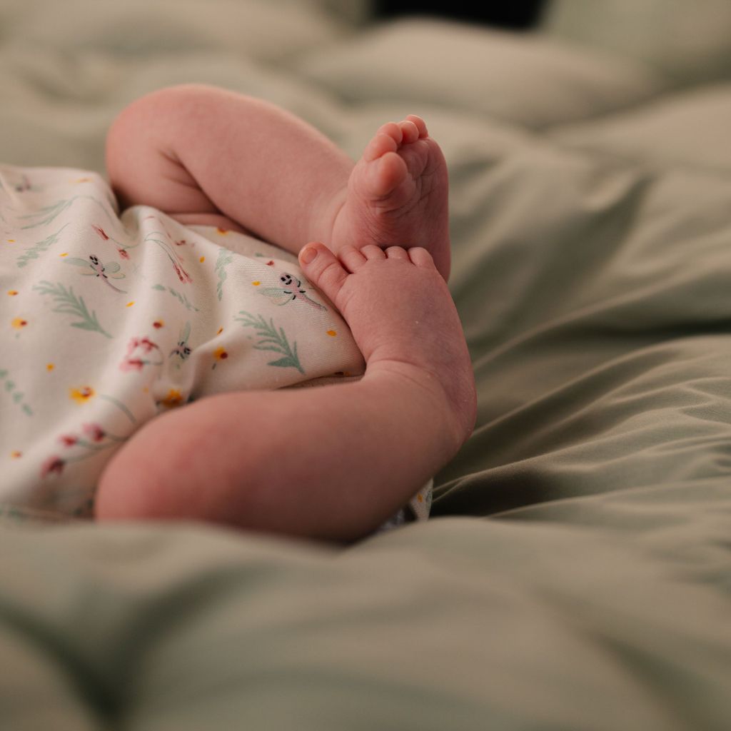 Dreambee Body met korte mouwen Oscar roze - 2 stuks