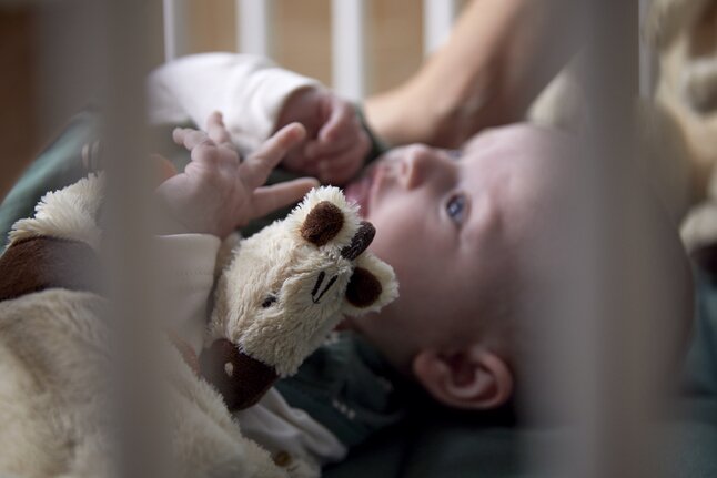 Dreambee Doudou Flo lignes ecru