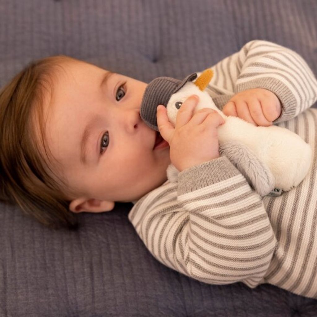 Little Dutch Squeaker Sailors Bay Goéland