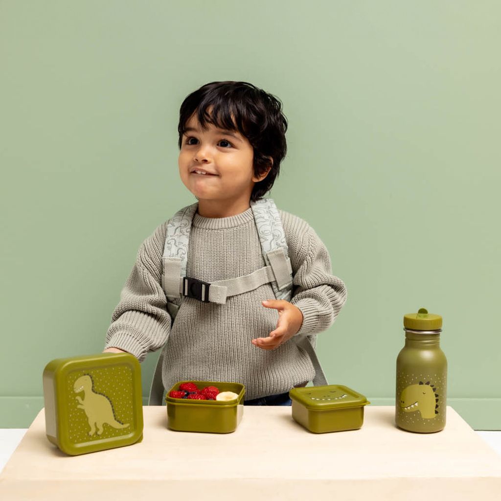 Trixie Snackdoosje Mr. Dino - 3 stuks