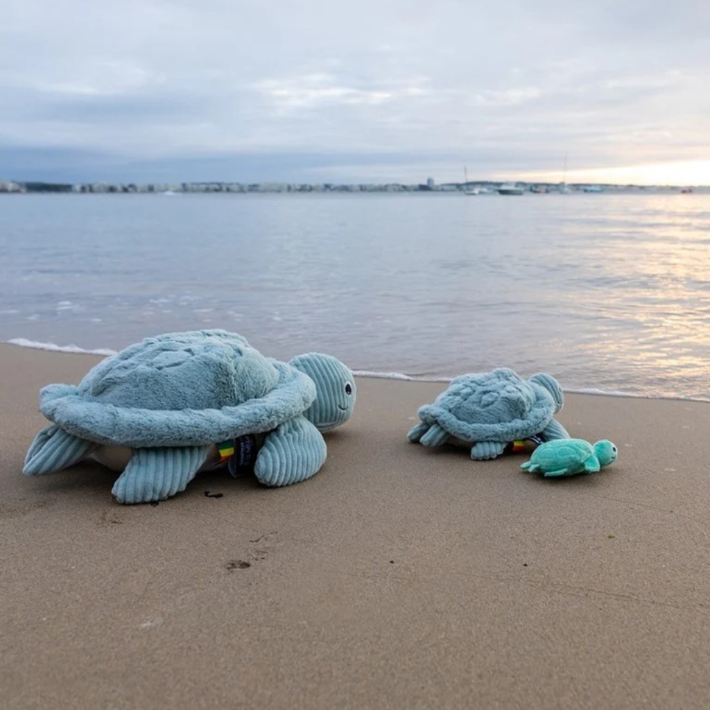 Les Déglingos Peluche Sauvenou tortue Maman et Bébé Menthe Ptipotos