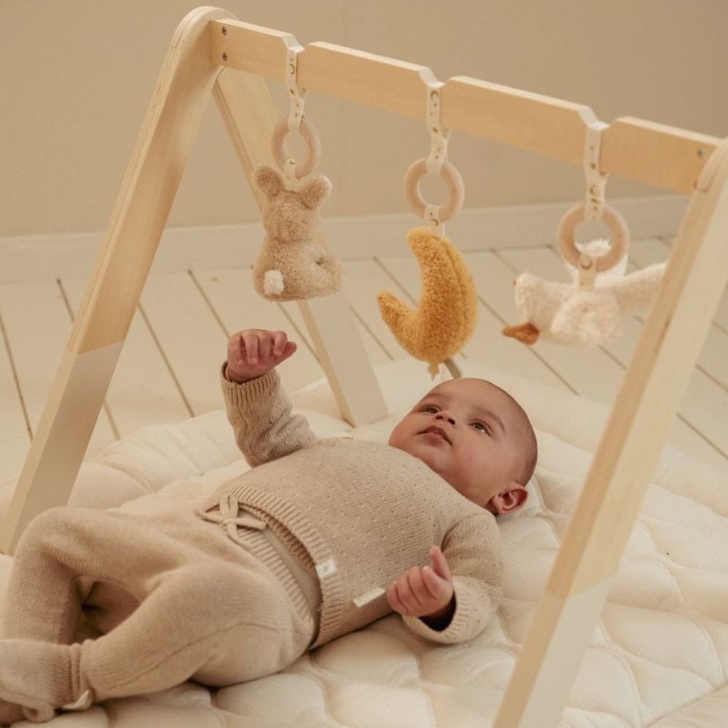 Little Dutch Babygym Newborn Naturals