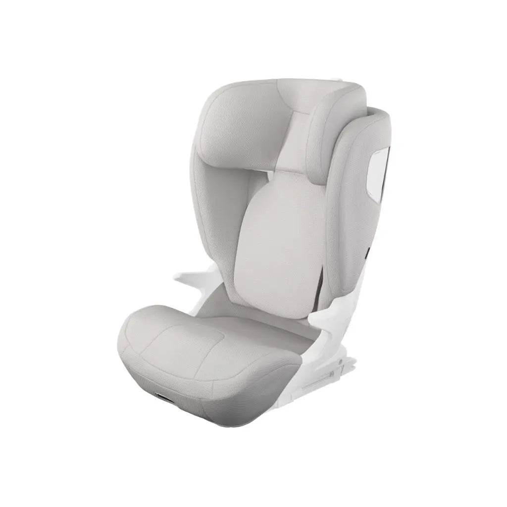 Thule Housse pour siège-auto Palm gris