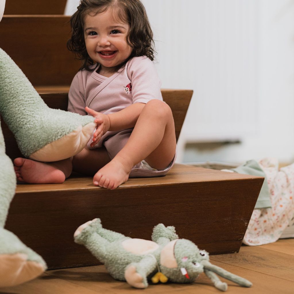 Dreambee Jouet musical à tirette Oscar