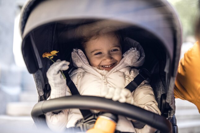 Thule 3-in-1 Wandelwagen Sleek Grey Melange On Black