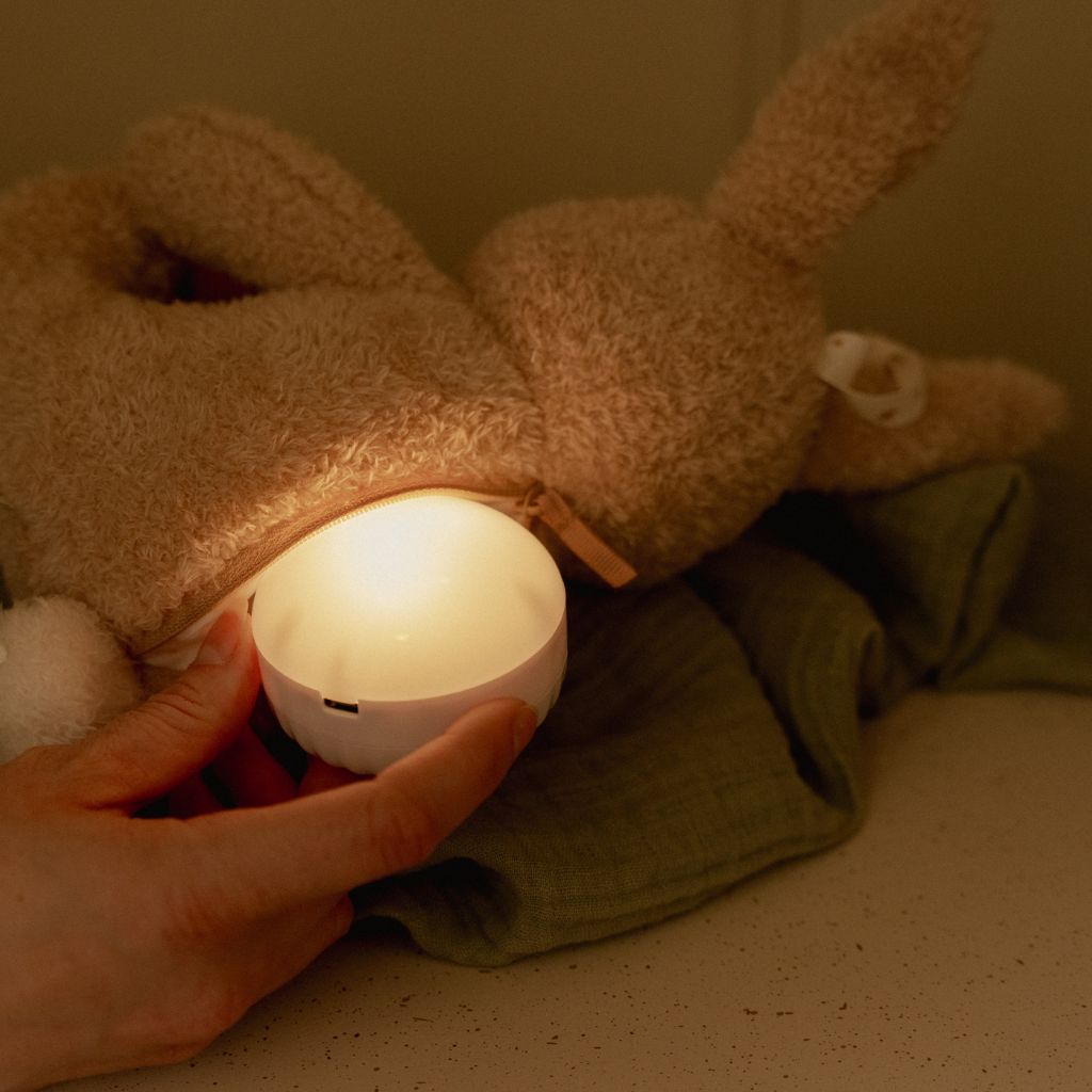 Little Dutch Knuffel met licht en geluid Baby Bunny