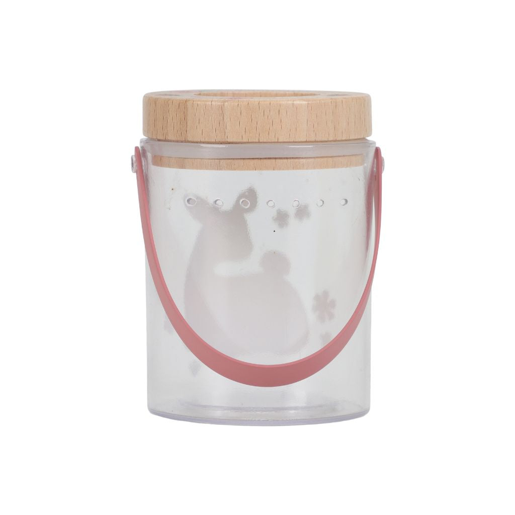 Little Dutch Experimenteerdoos Fairy Garden