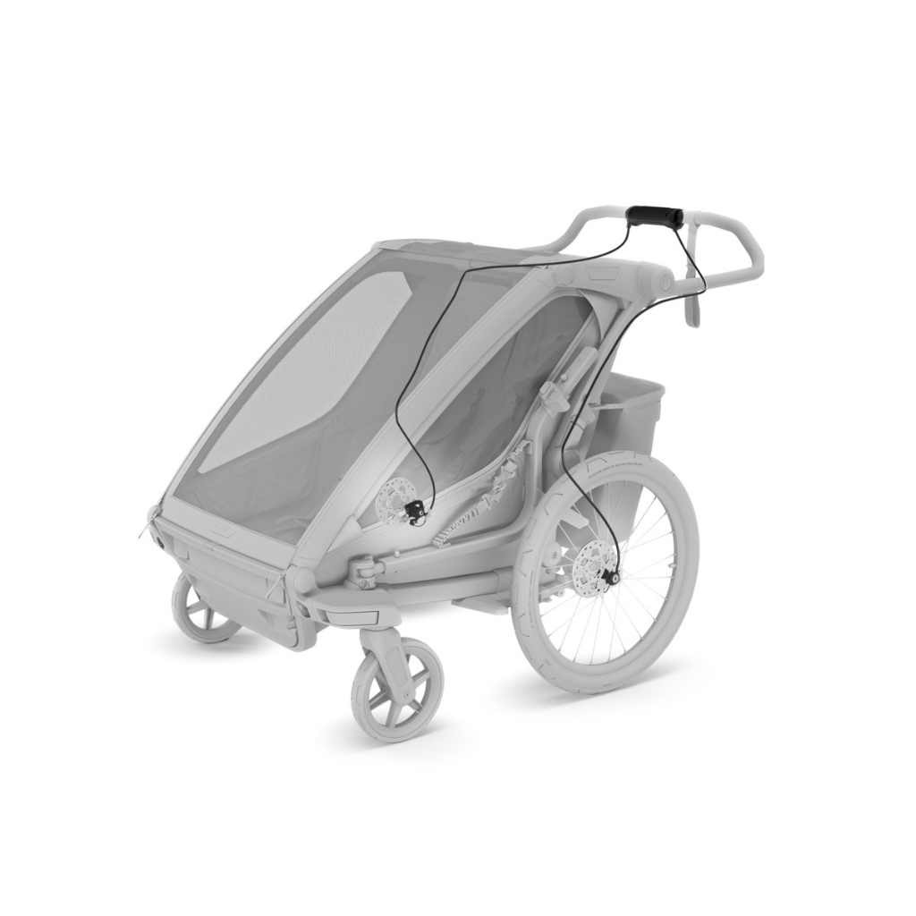 Thule Remorque de vélo Chariot Sport 2 Double Natural Gold