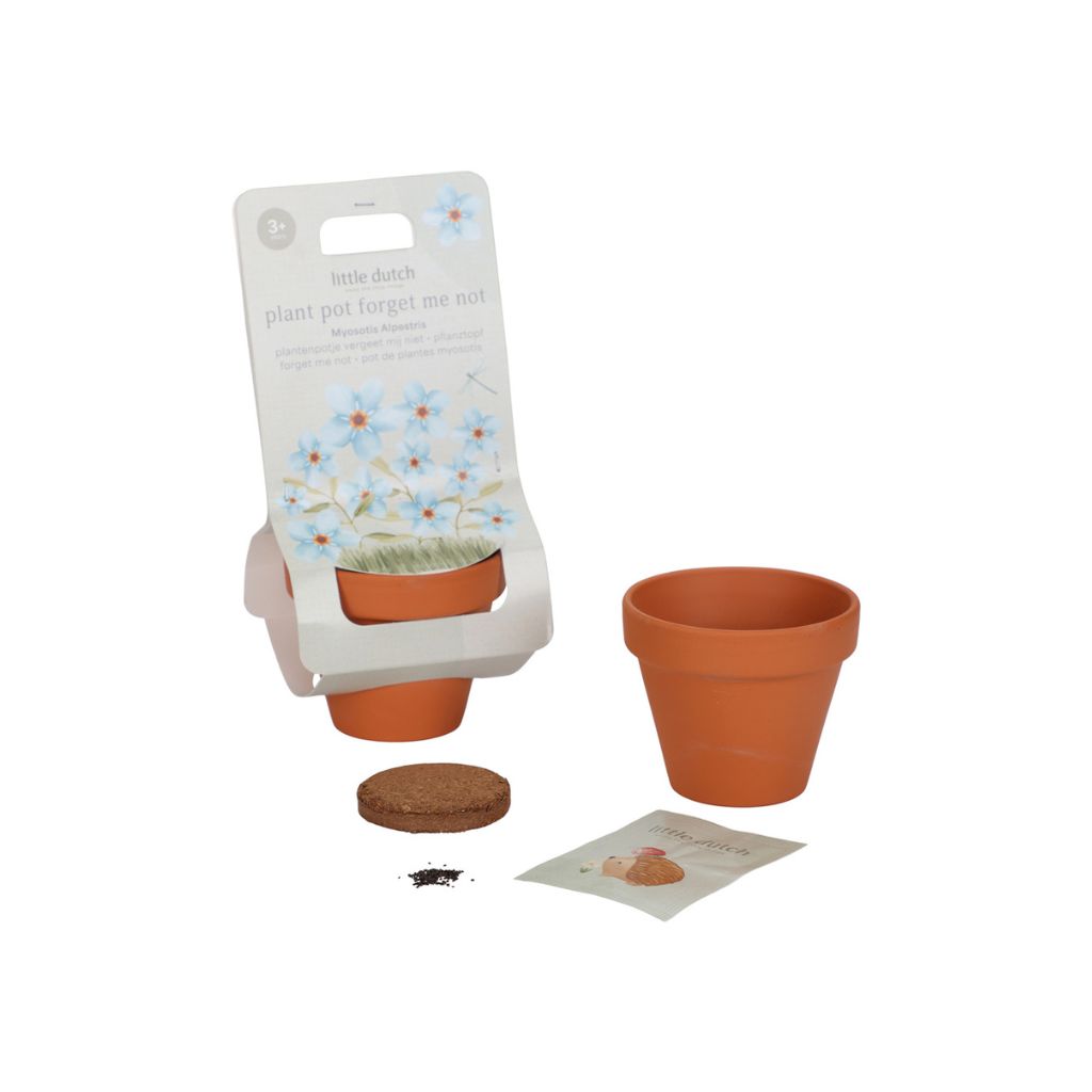 Little Dutch Pot de fleur Myosotis