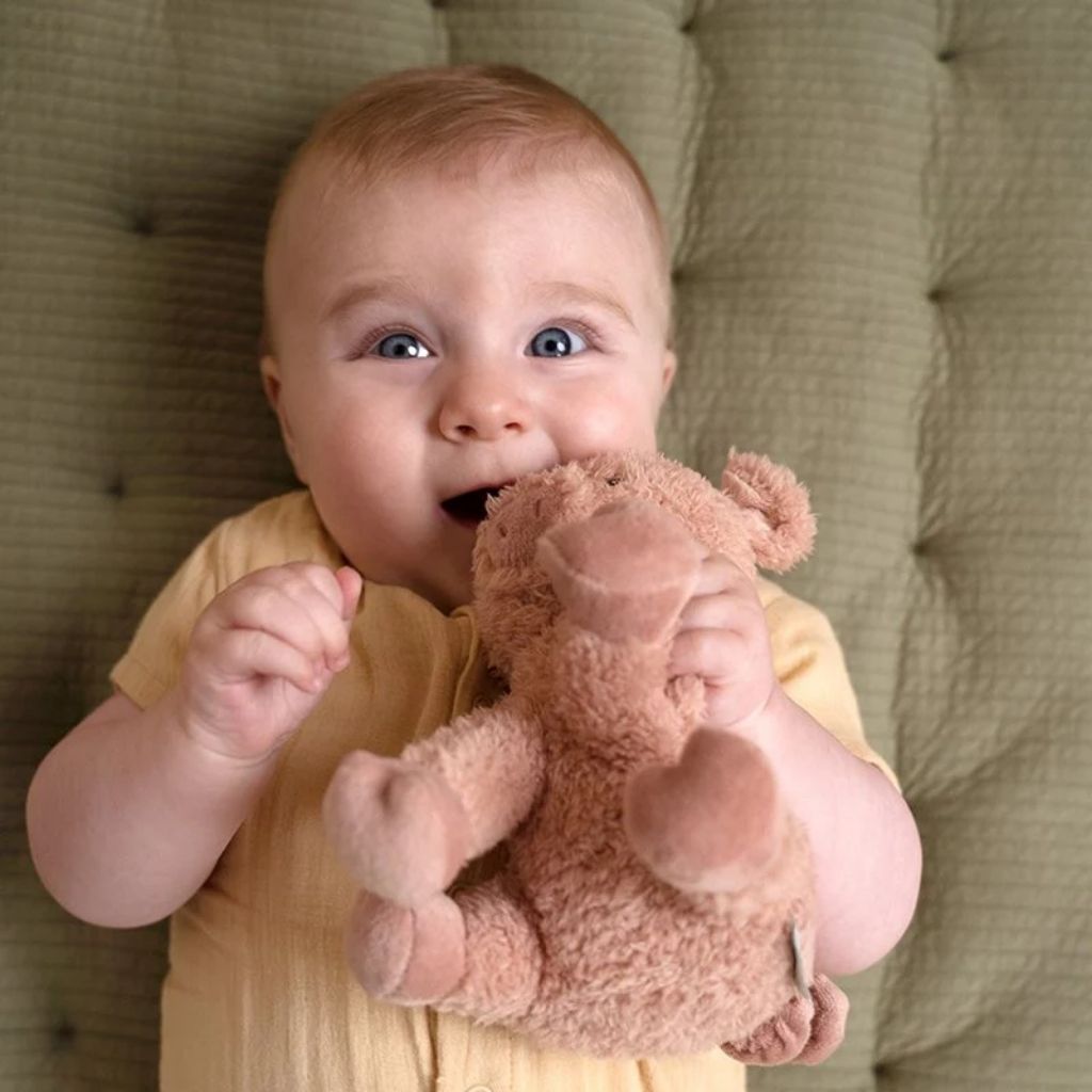 Little Dutch Knuffel Little Farm varken 17 cm