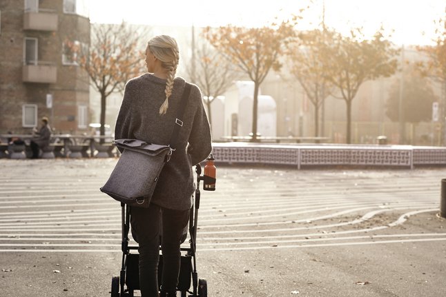 Thule Sac à langer Grey Melange