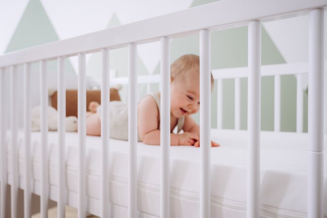 ZZZOO Matras voor babybed Dolfijn B 60 x L 120 cm