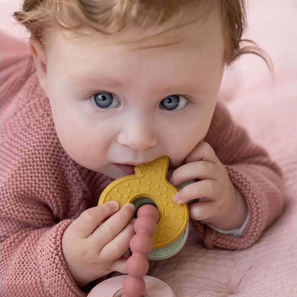 Little Dutch Bijtspeeltje Sleutelbos roze