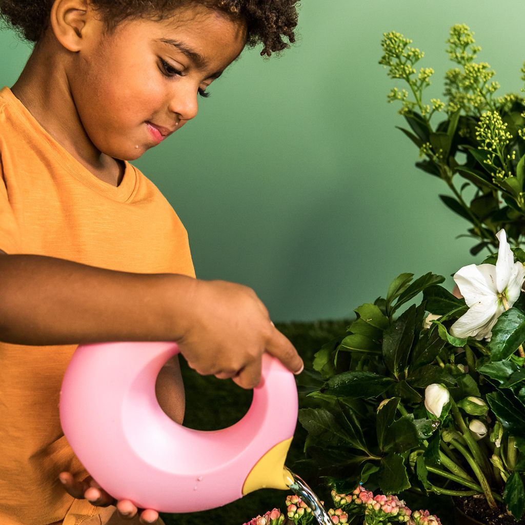 Quut Gieter Cana Sweet pink 0,5 l