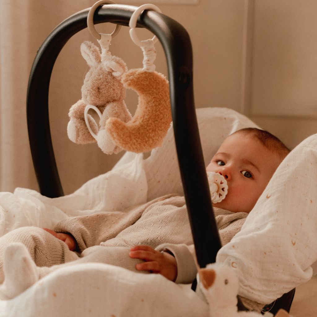 Little Dutch Activiteitenhangspeeltjes Newborn Naturals