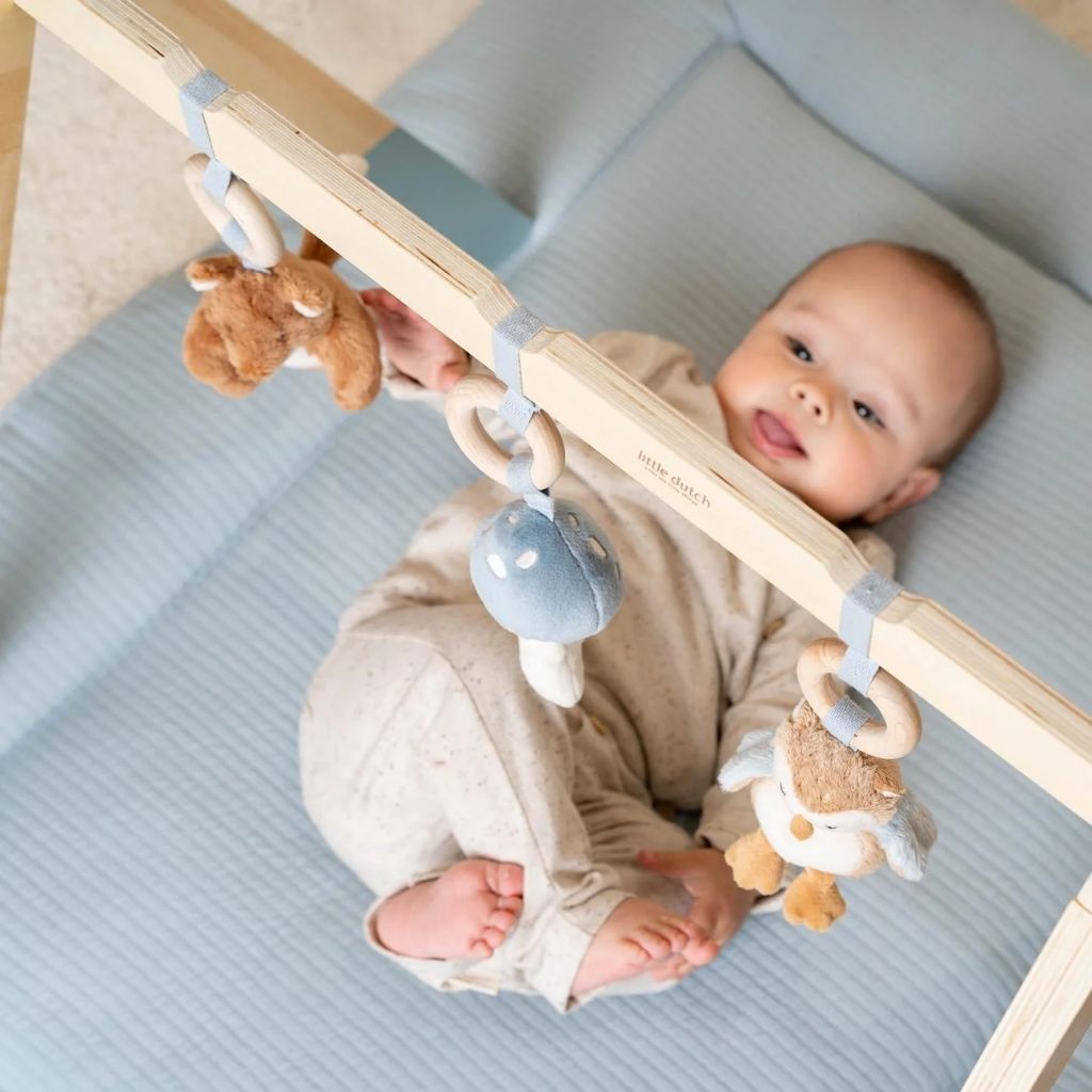 Little Dutch Arceau de jeu Forest Friends