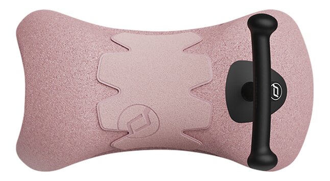 Scoot and Ride Vélo sans pédales My First rose