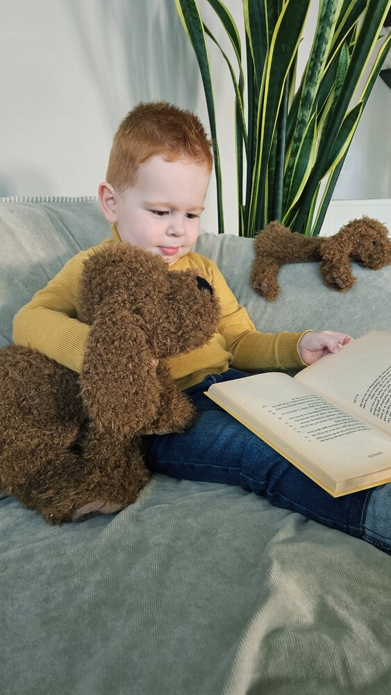 Happy Horse Peluche Labradoodle Larry 28 cm