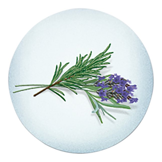 Vicks Tablette de parfum VapoPads Romarin & Lavande - 7 pièces