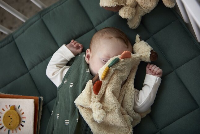 Dreambee Doudou Flo lignes ecru