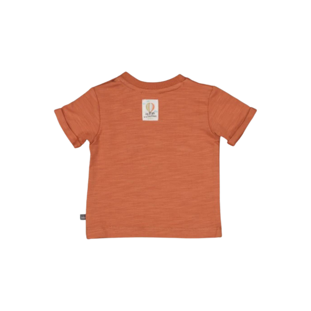 Feetje T-shirt - Mini Adventurer m 80 Brique Jongens