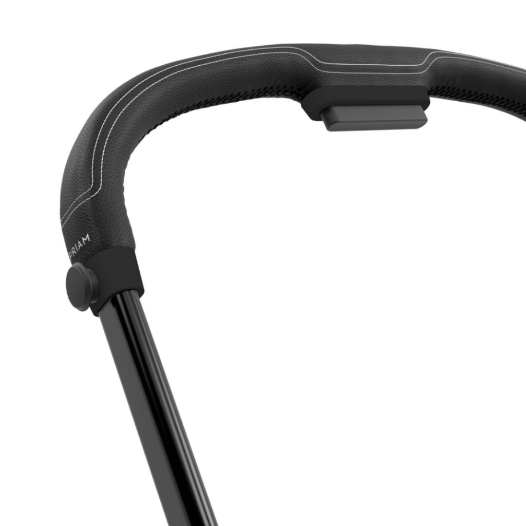 Cybex Poussette Priam Matt Black/Leaf Green