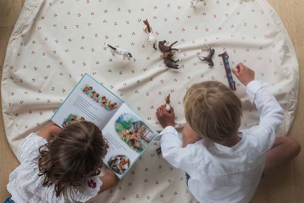 Play&Go Speeldeken /Opbergtas Noomad Cherry cherry