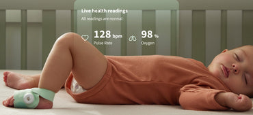 Owlet Monitor Dream Sock Mint Green