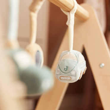 Babygym Speeltjes On The Go