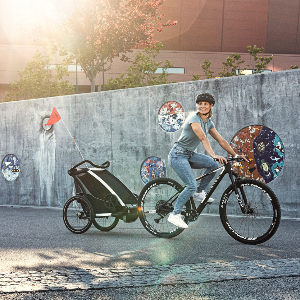 Thule Remorque de vélo Chariot Lite 1 Agave Black