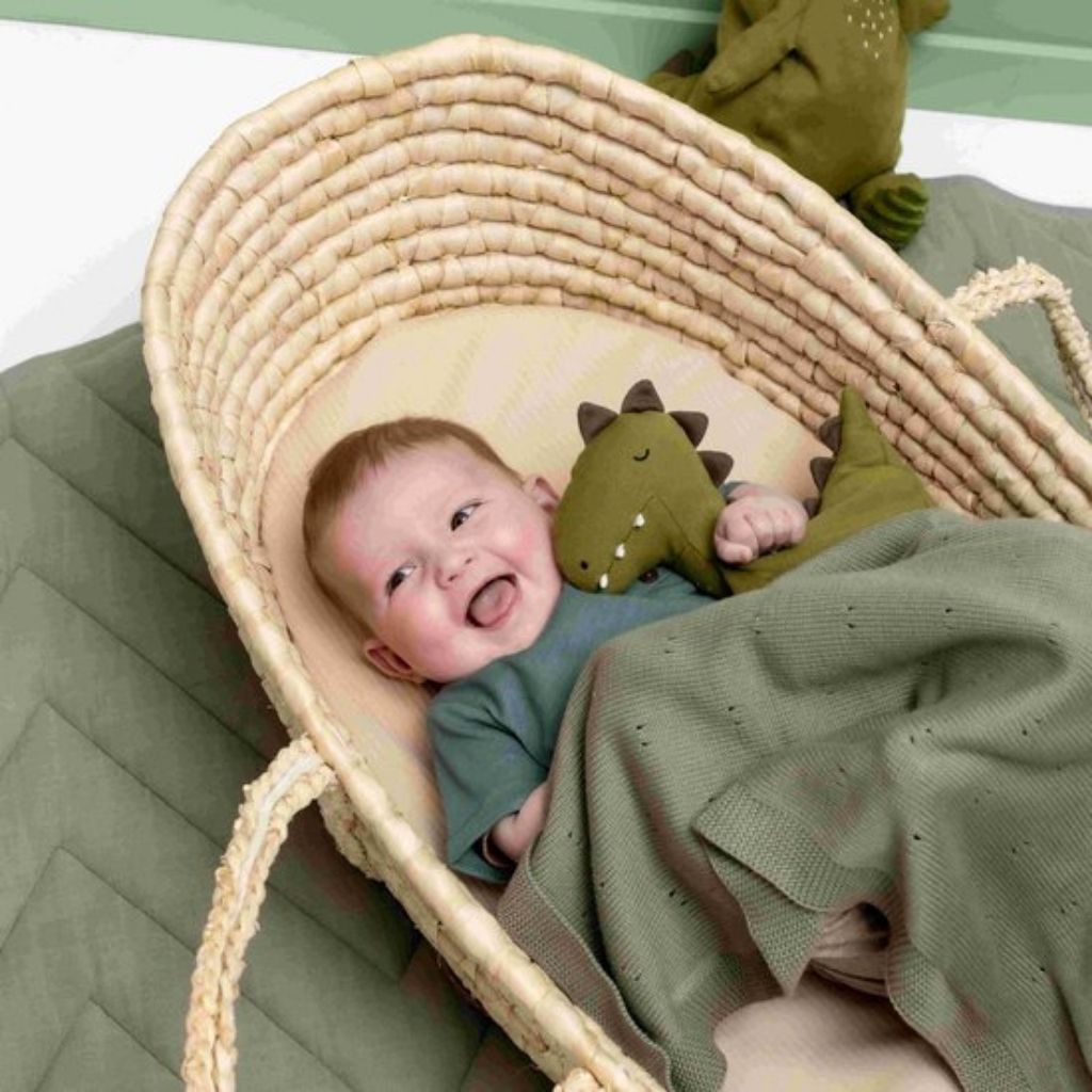 Trixie Peluche Animals Mr. Dino 26 cm