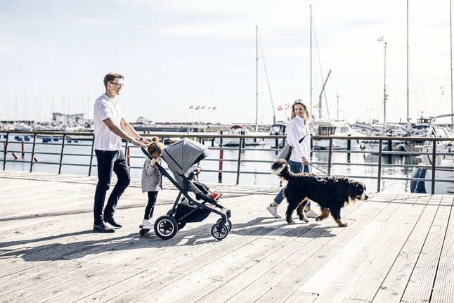 Thule 3-in-1 Wandelwagen Sleek Grey Melange On Black