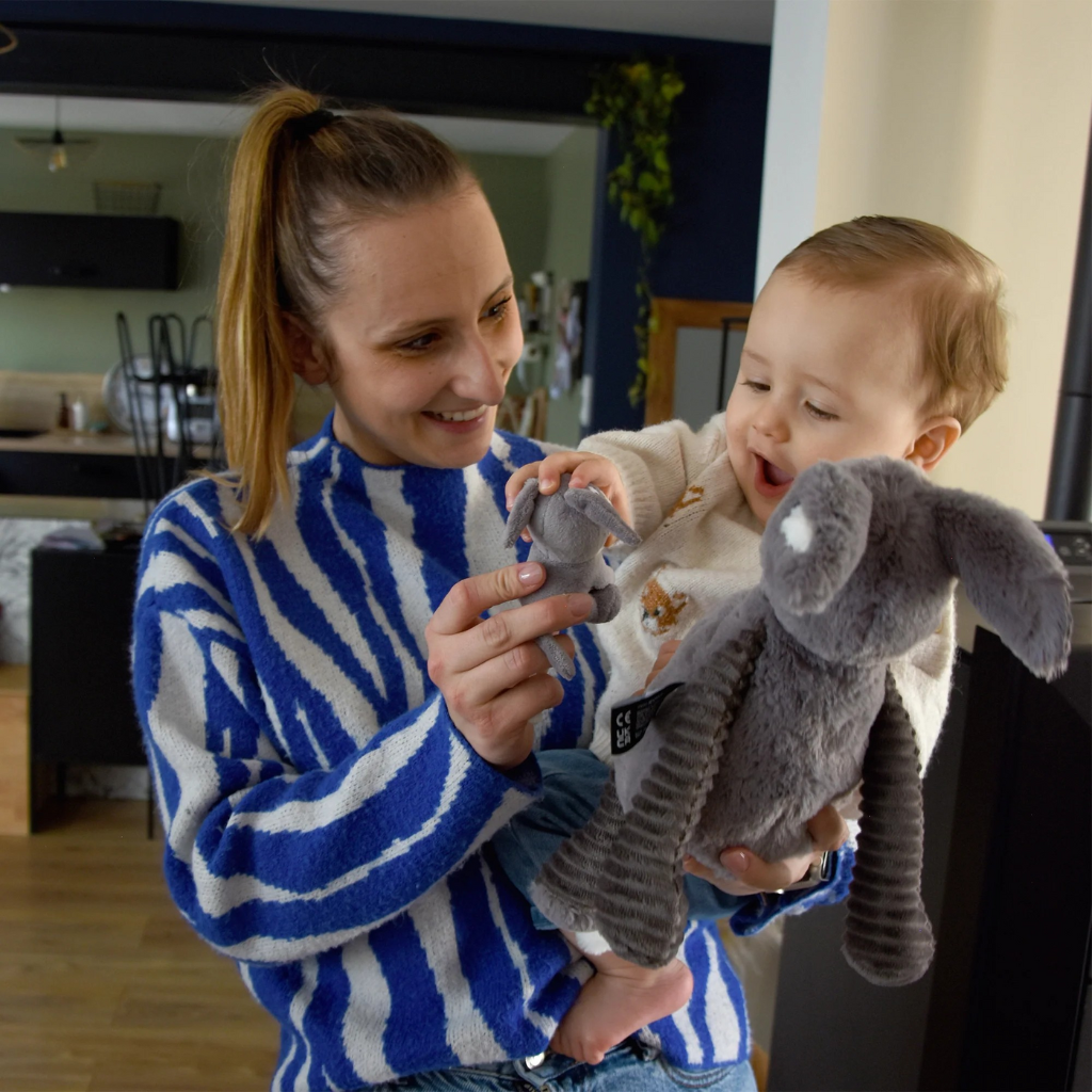 Les Déglingos Peluche Poitou l'âne Maman et Bébé Gris Ptipotos