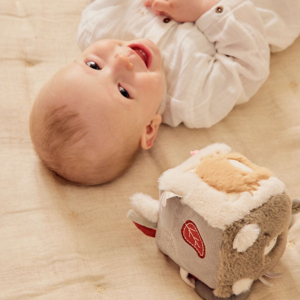 Noukie's Cube d’activités Fluffy & Orso