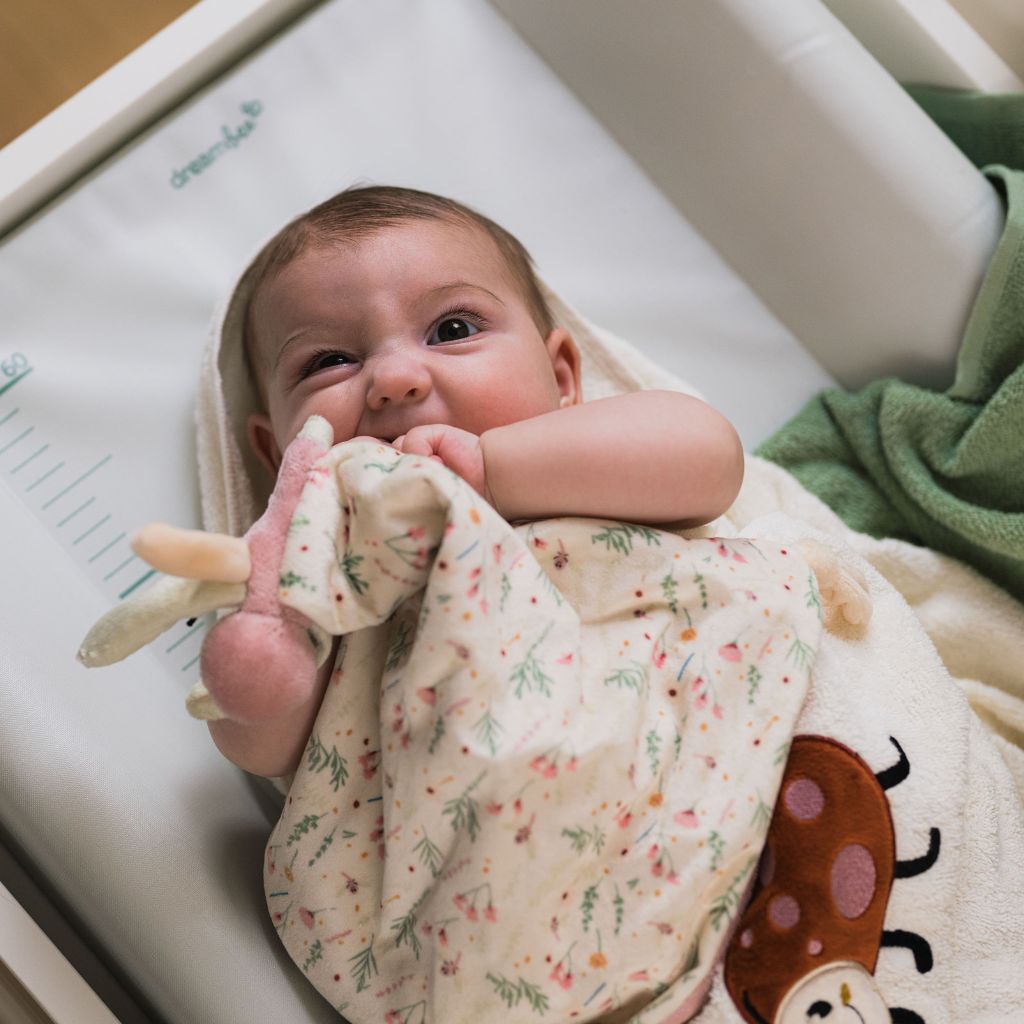 Dreambee Doudou Libellule Oscar 38 cm